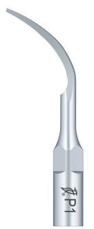 Woodpecker Tip P1 (EMS)