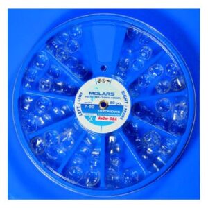 Korunky transparentné molárové