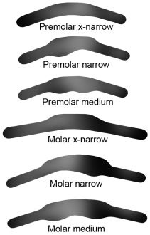 xxxThinKing Nystrom Molar medium