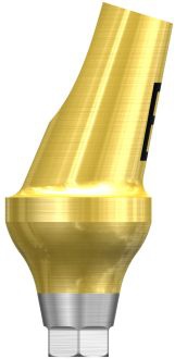 Angled Abutment Regular D 6,0 x GH 4,0 B-Hex